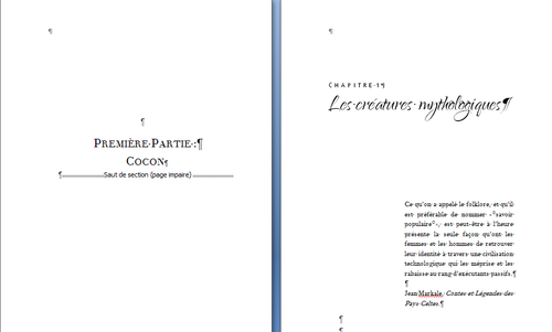 Mon aventure dans l’autoédition - 11. Le formatage - livre papier