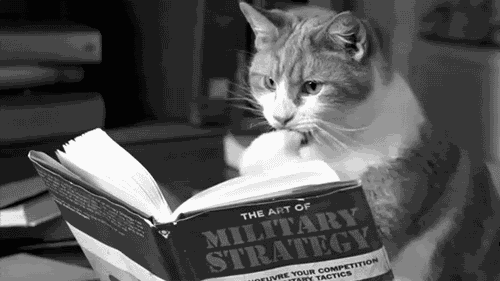 Mon aventure dans l'autoédition - 5. La bêta lecture