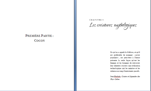 Mon aventure dans l’autoédition - 11. Le formatage - livre papier