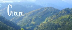Citara