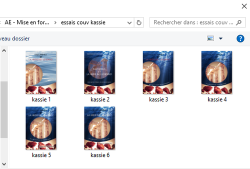 essais couv Kassandra