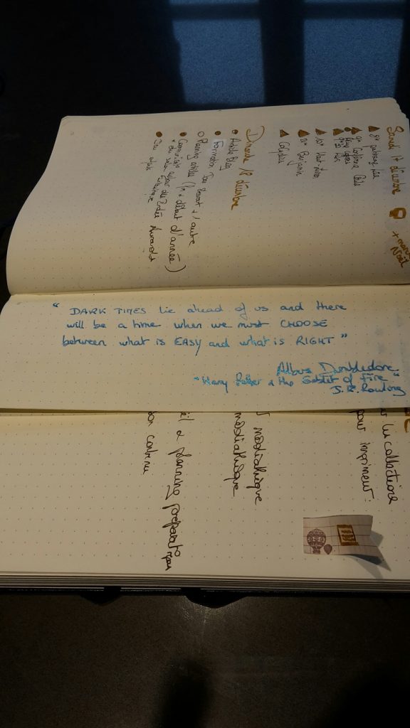 Collections Bujo - pages loupées