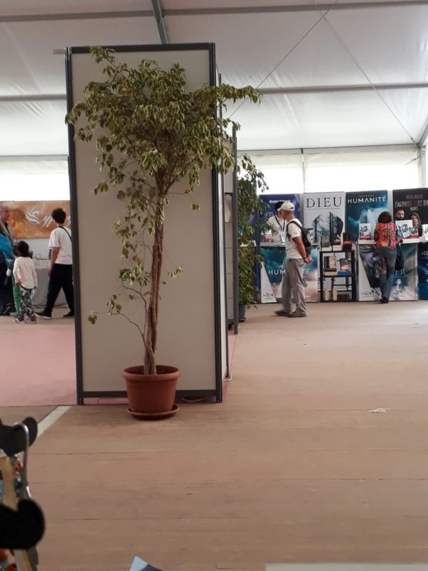 Imaginales 2018 - en face du stand